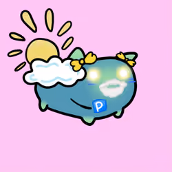 PillowCats #2025