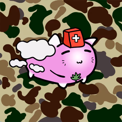 PillowCats #3000