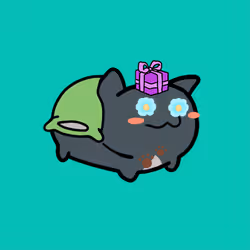 PillowCats #1144