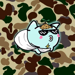 PillowCats #1263