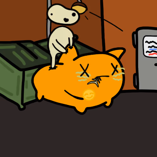 PillowCats #2568