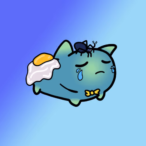PillowCats #1381
