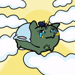PillowCats #1065
