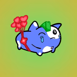PillowCats #2011