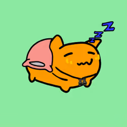 PillowCats #3688
