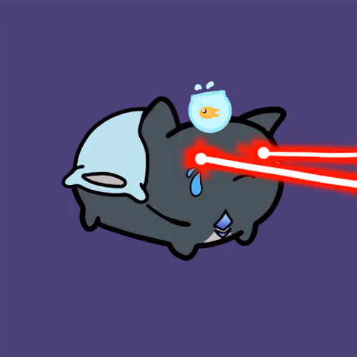 PillowCats #1660