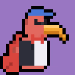 Brokey Beak #4831
