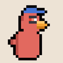 Brokey Beak #9981