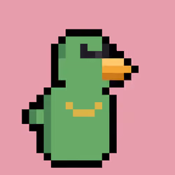 Brokey Beak #7424