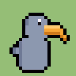 Brokey Beak #1063