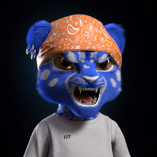 Tjtcheetahs