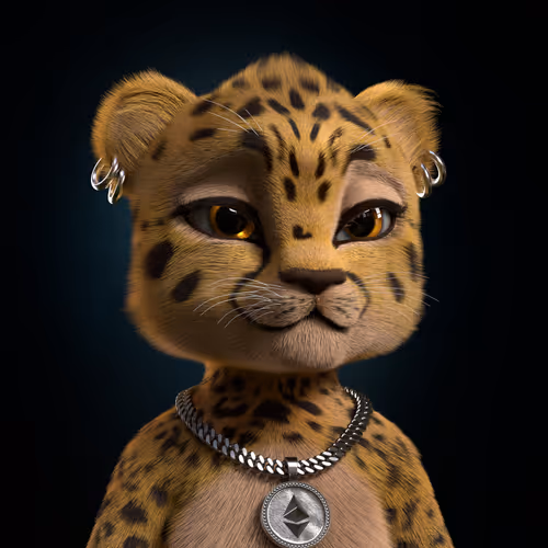 Tjtcheetahs