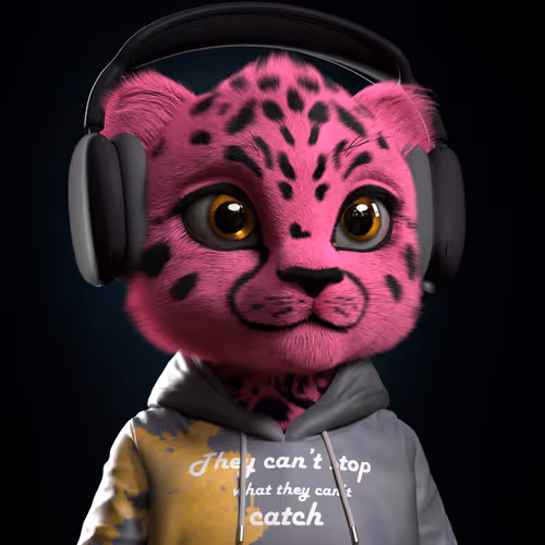 Tjtcheetahs