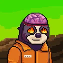 3037