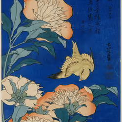 "Herbaceous Peony and Canary"
