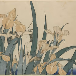 "Iris and grasshopper"
