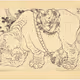 "Indian elephant, from the series Illustrations for the Great Picture Book of Everything"