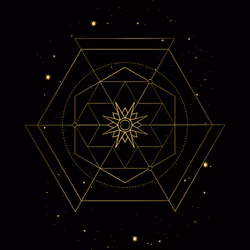 #323
