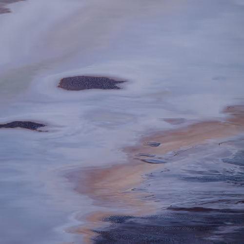 Fingerprints Of Earth Editions