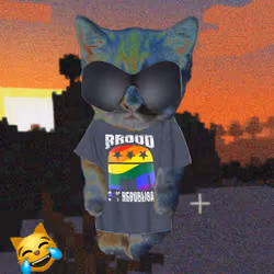 737