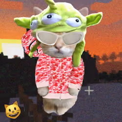 173