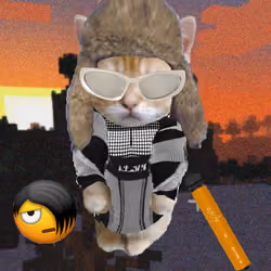 Kibble 903