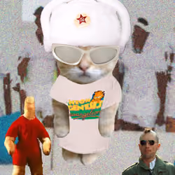 567