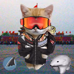 Kibble 1251