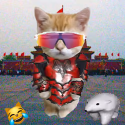 Kibble 246