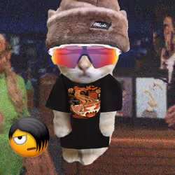 Kibble 1002