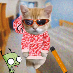 Kibble 1051