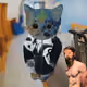 897