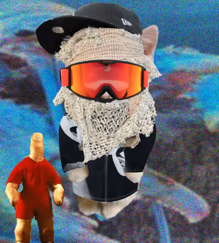 Kibble 231