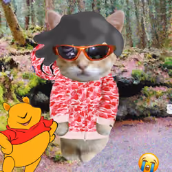 Kibble 1004
