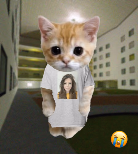 Kibble 90