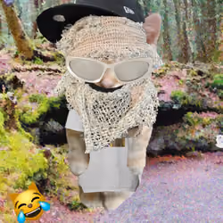 Kibble 361