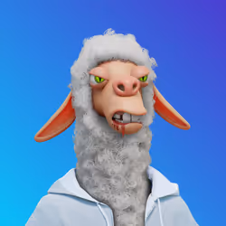 Laid Back Llama #2860