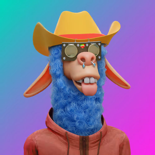Laid Back Llamas Collection