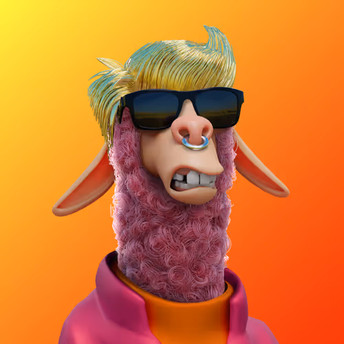 Laid Back Llamas Collection