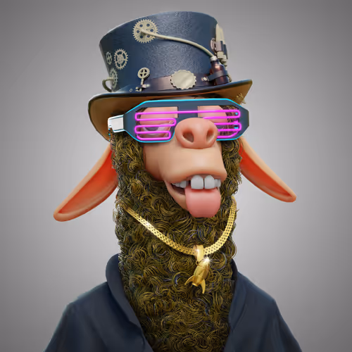 Laid Back Llamas Collection
