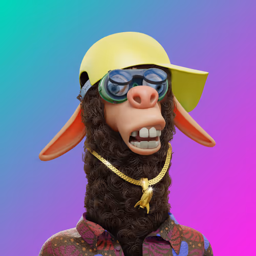 Laid Back Llamas Collection