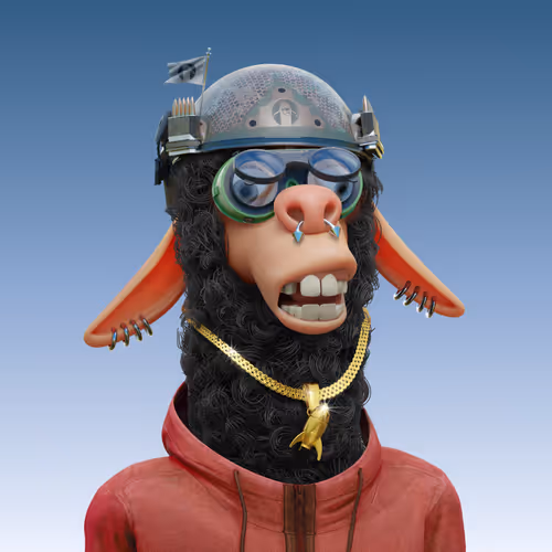 Laid Back Llamas Collection