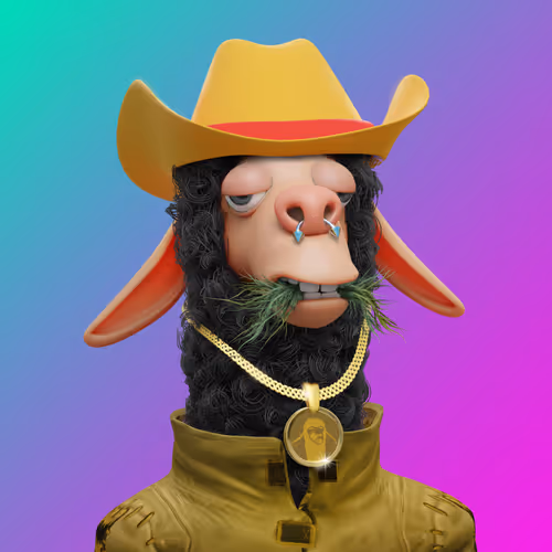 Laid Back Llamas Collection