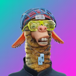 Laid Back Llama #6077