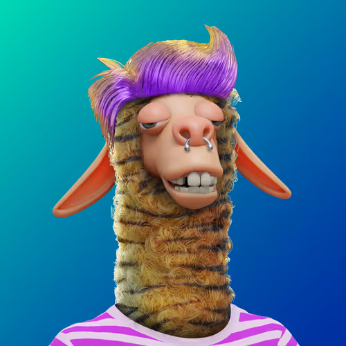 Laid Back Llamas Collection