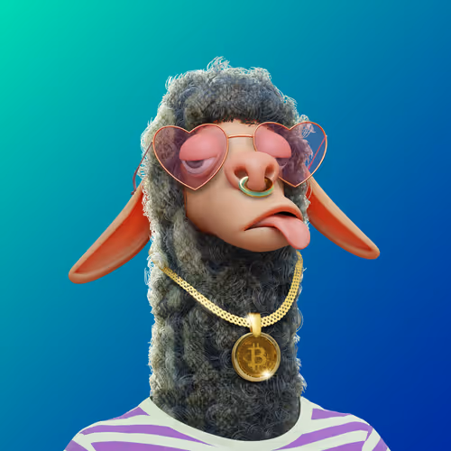 Laid Back Llamas Collection