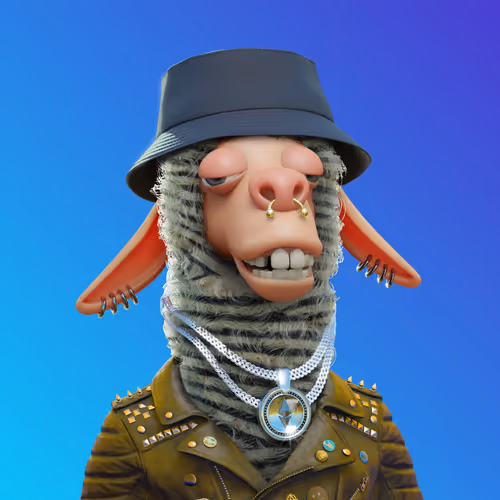 Laid Back Llamas Collection