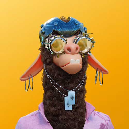 Laid Back Llamas Collection