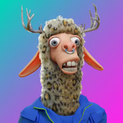 Laid Back Llama #3337