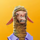 6084